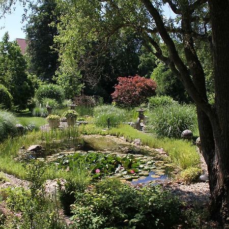 Fewo - Wohlfuehlambiente & Gartenparadies Modautal Exterior foto