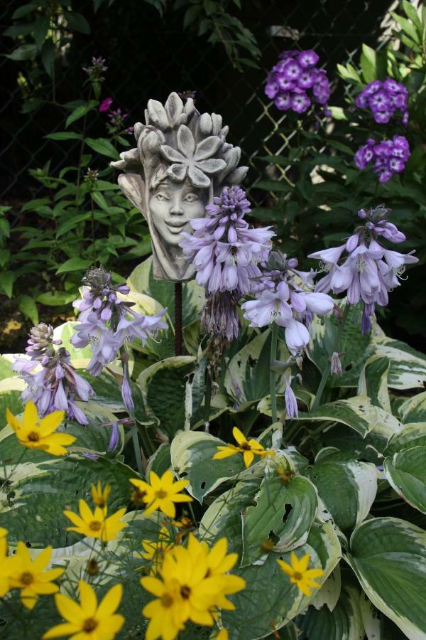 Fewo - Wohlfuehlambiente & Gartenparadies Modautal Exterior foto